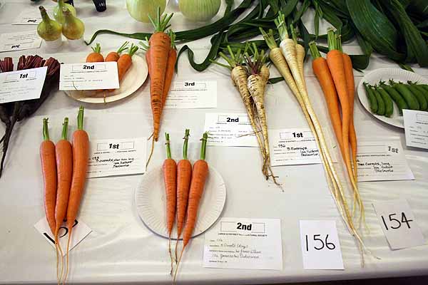 Largs Horticultural Show